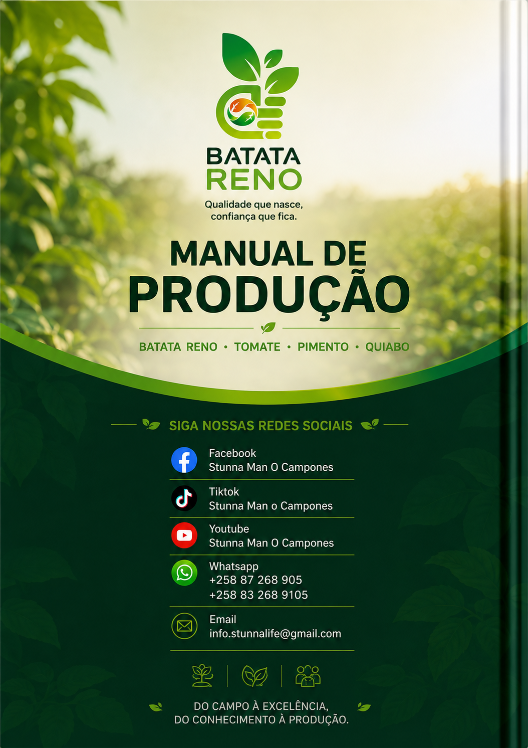 Capa do Batata Reno, Tomate, Pimento e Quiabo