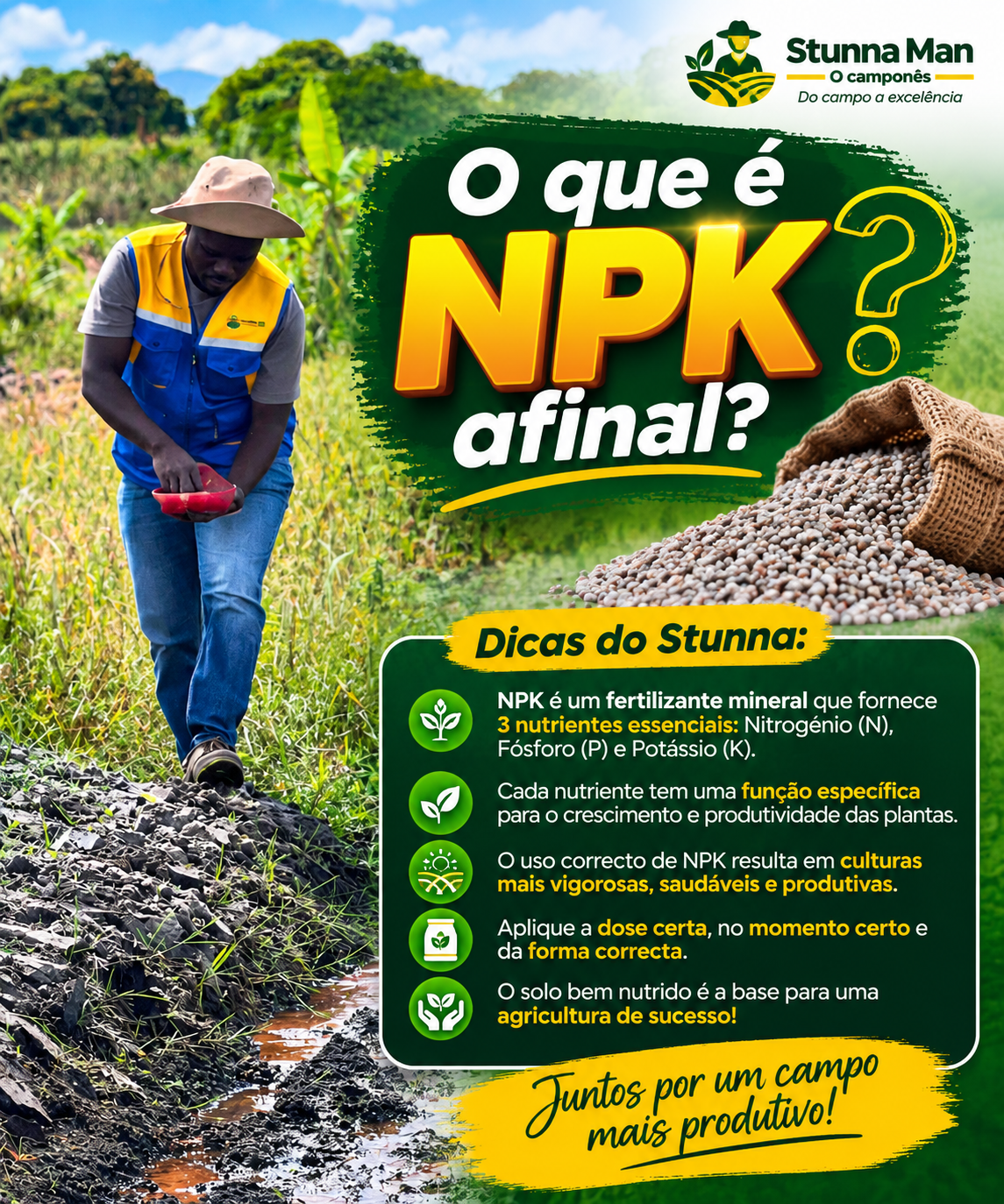 Destaque sobre NPK e fertilização